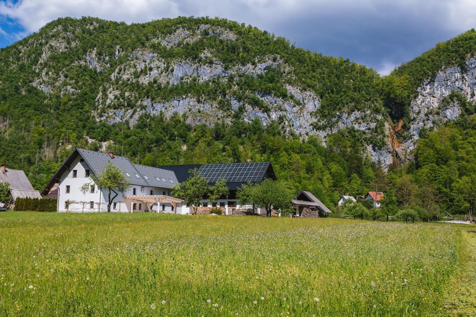 Domacija Log V Bohinju Villa Bohinjska Bistrica Exterior photo